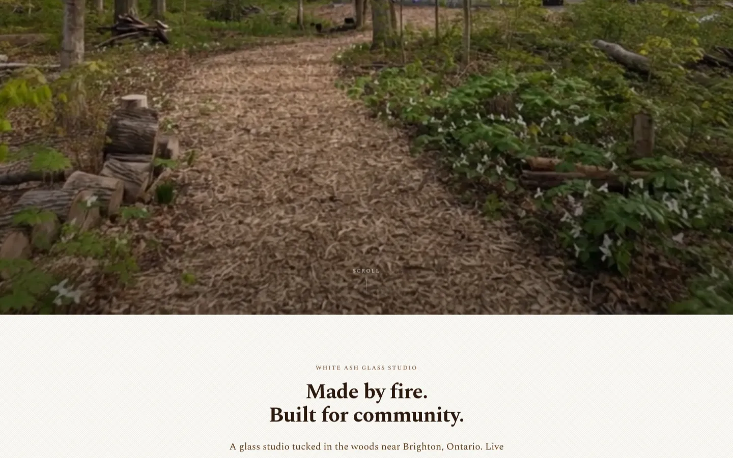 White Ash Glass Studio homepage showing a forest path and the line Made by fire, built for community.