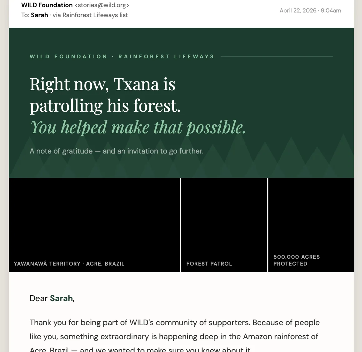 Proposed Wild Foundation donor email design.
