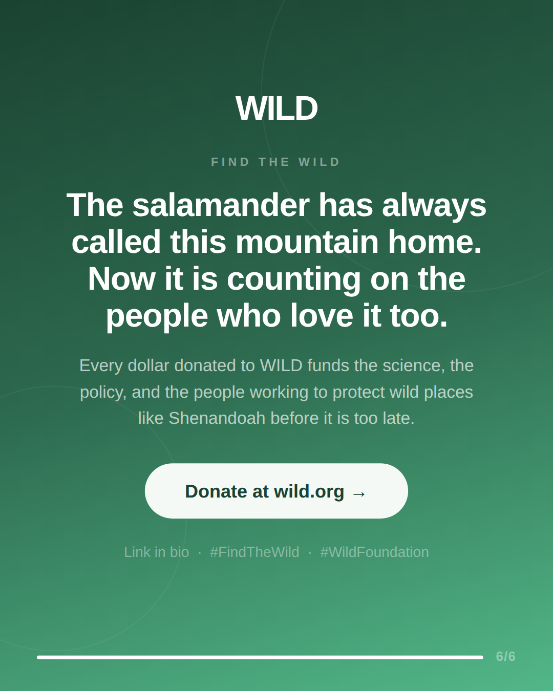 Shenandoah Campaign slide 6