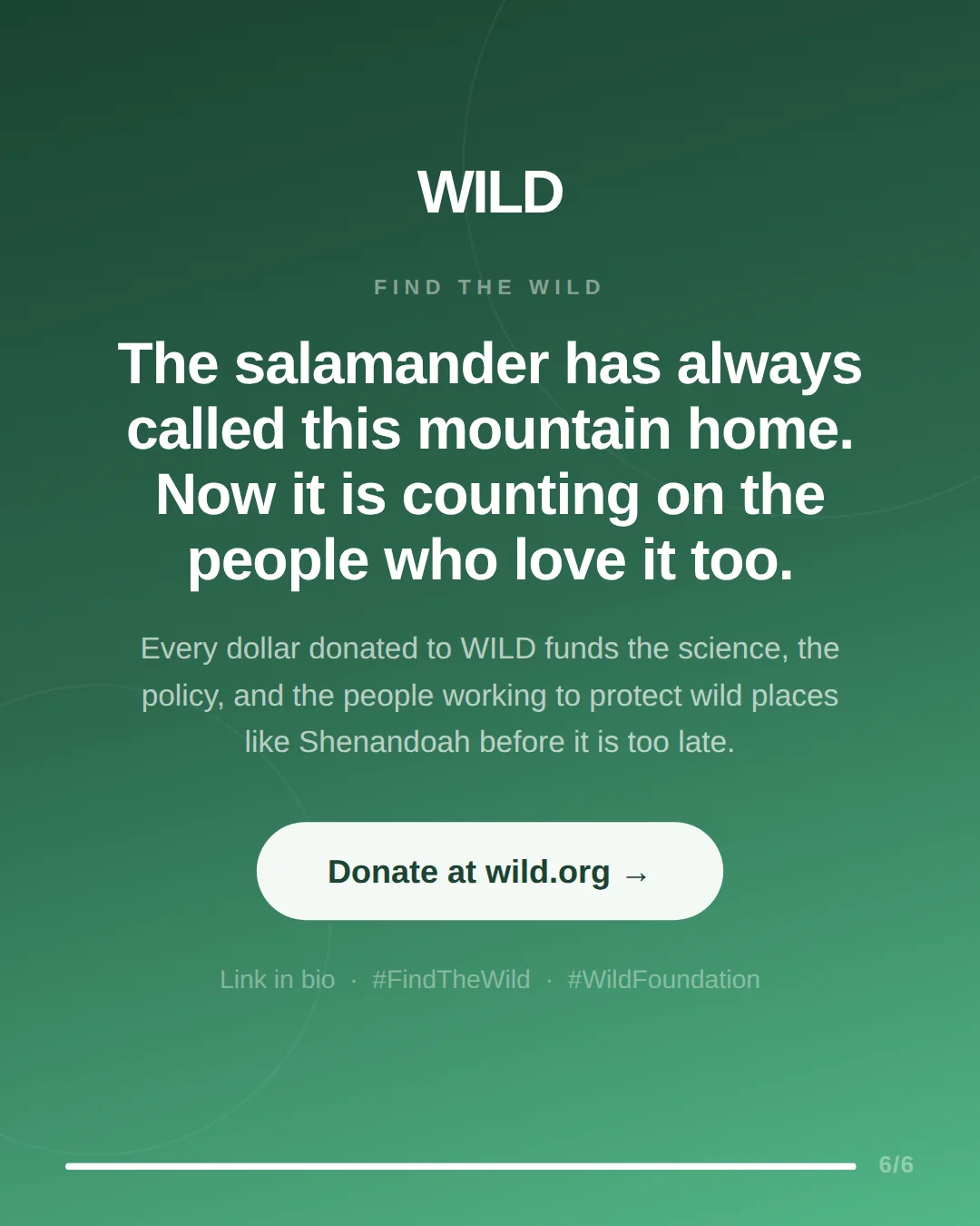 Shenandoah Campaign slide 6